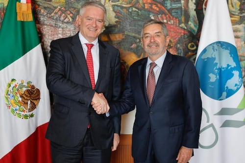 De la Fuente recibe a secretario general de la OCDE; destacan avances económicos en México