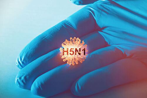 México confirma primer caso de influenza aviar en humanos: ¿Cuáles son los síntomas?