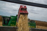 Liderazgo femenino en el agro: un paso importante hacia la producción sostenible