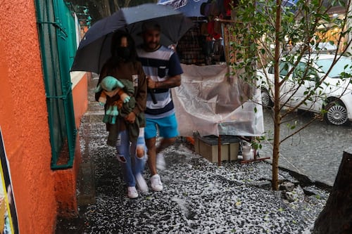 Pronóstico del clima en Coyoacán, Ciudad de México: miércoles 20 de mayo con alta probabilidad de lluvia