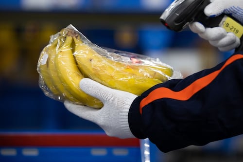 Solicitudes de ayuda por desempleo en EU caen más de lo previsto; se registran 730 mil la semana pasada