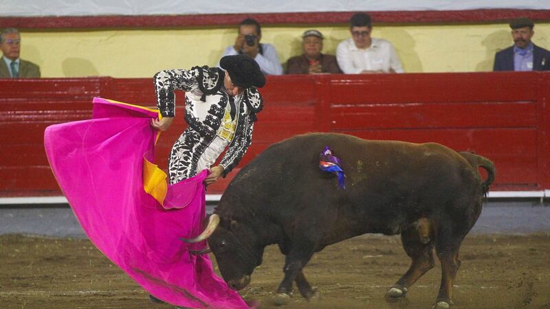 Brugada anuncia cambios a corridas de toros: ¿Cómo será el espectáculo taurino en CDMX?