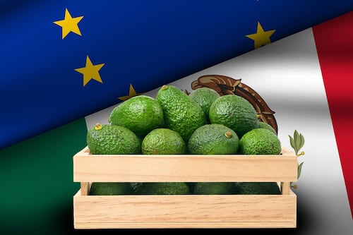 El acuerdo con la Unión Europea y la estrategia comercial mexicana