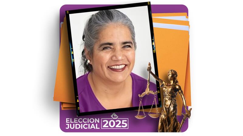 ¿Quién es Luz María Zarza, la exdirectora jurídica de Pemex y fan de la bici que va por la Suprema Corte?