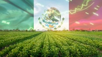 Campo ‘salva’ a la economía de México: Crece 0.7% en 2025, cuarto año de desaceleración