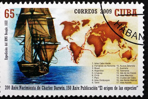 Lo que comía Darwin (y por qué importa)