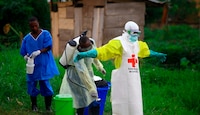 Hantavirus, norovirus... y ahora el ébola: ¿Qué sabemos del nuevo brote en el Congo?