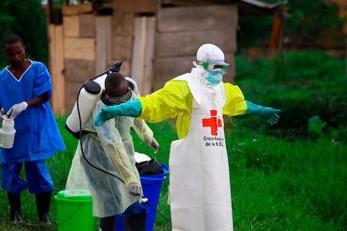 Hantavirus, norovirus... y ahora el ébola: ¿Qué sabemos del nuevo brote en el Congo?
