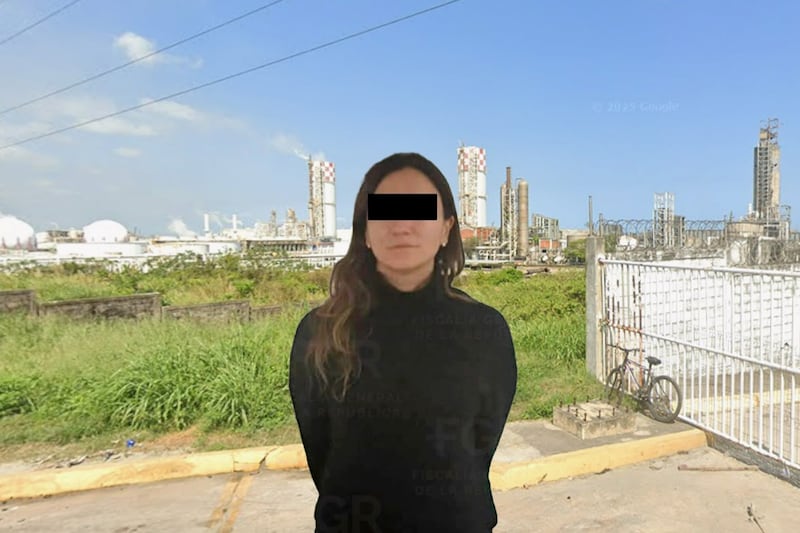 ¿Qué es el Caso Agronitrogenados y qué hizo Gilda ‘N’, hermana de Emilio Lozoya, exdirector de Pemex?