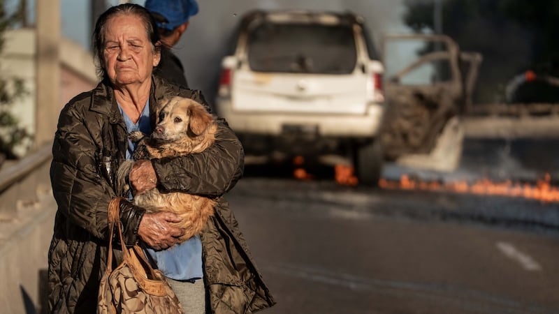 La IA no lo podrá hacer: América Latina necesitará 14 millones de cuidadores de adultos mayores en 2050