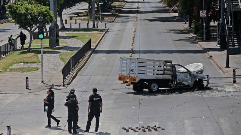 Durmieron en el zoológico: Turistas quedan varados por violencia en Jalisco tras muerte del ‘Mencho’