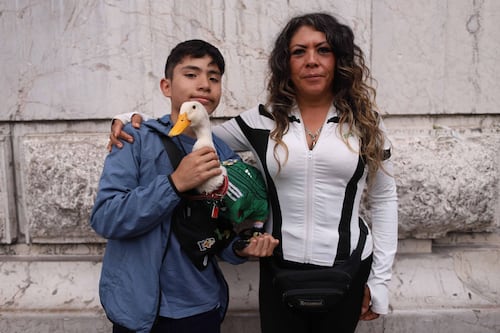 El Pato Merlín®