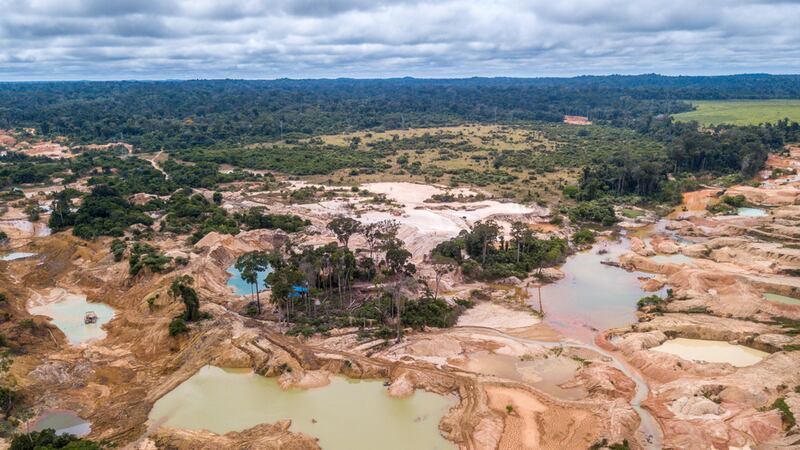 Región del Amazonas, ‘pulmón del mundo’, ya produce más dióxido de carbono del que absorbe