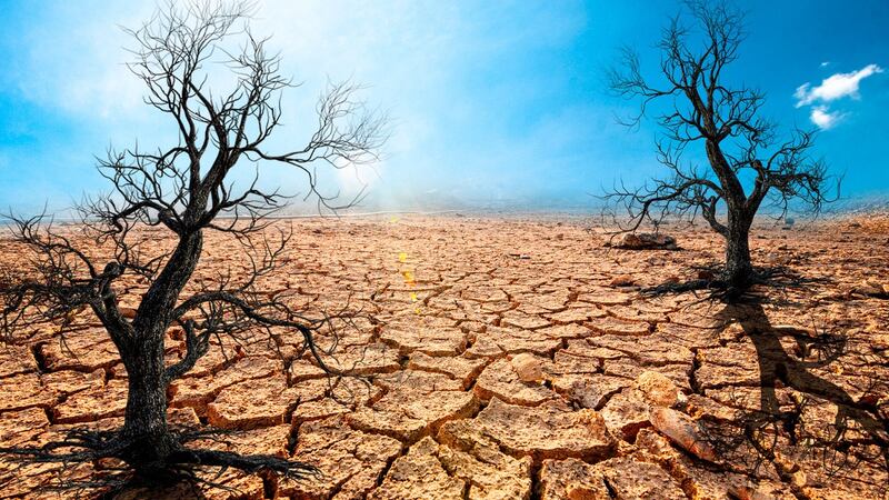 Calentamiento global: Así está obligando a las personas a desplazarse de sus territorios