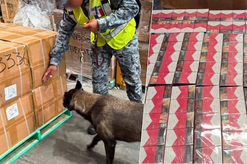 Aseguran 60 mil cajetillas de cigarros en el AIFA, procedentes de Bangkok, ¿cómo fue el decomiso?