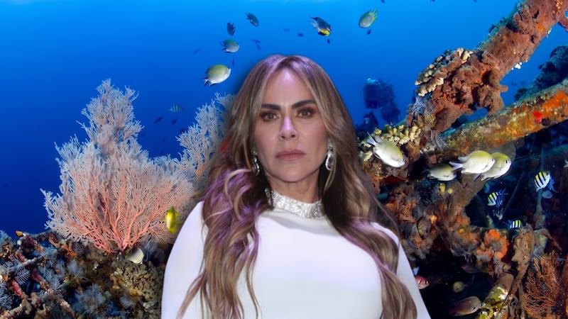 Aylín Mujica depositará las cenizas de su hijo en un cementerio bajo el mar: ¿Cómo es Neptune Memorial Reef?