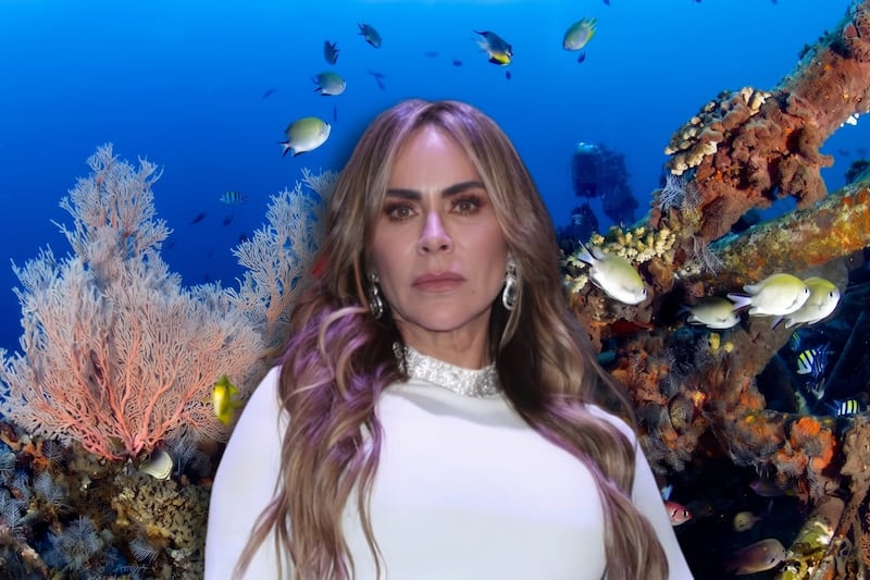 Aylín Mujica depositará las cenizas de su hijo en un cementerio bajo el mar: ¿Cómo es Neptune Memorial Reef?