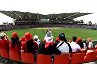 Precios de Diablos Rojos vs. Yankees: ¿Qué zonas hay en el Estadio Alfredo Harp y cuánto cuestan?