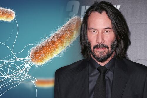 ¿Qué son las keanumicinas, bacteria ‘tan letal’ que fue nombrada en honor a Keanu Reeves?