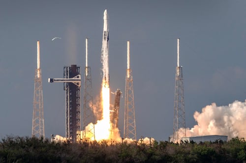 Ojo aquí, Musk: El negocio de cohetes de SpaceX pierde dinero mientras Starlink domina las ventas