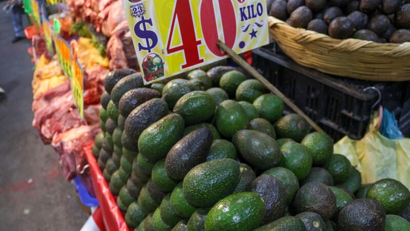 Cebolla te hizo llorar... pero el aguacate no: inflación de agosto ‘salva’ tu guacamole