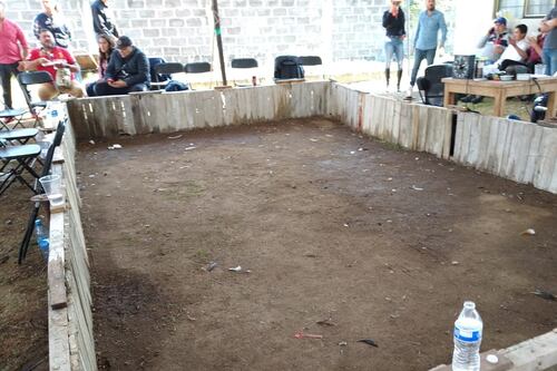 Ecatepec: Desalojan predio donde 150 personas asistían a pelea de gallos en plena contingencia por COVID-19