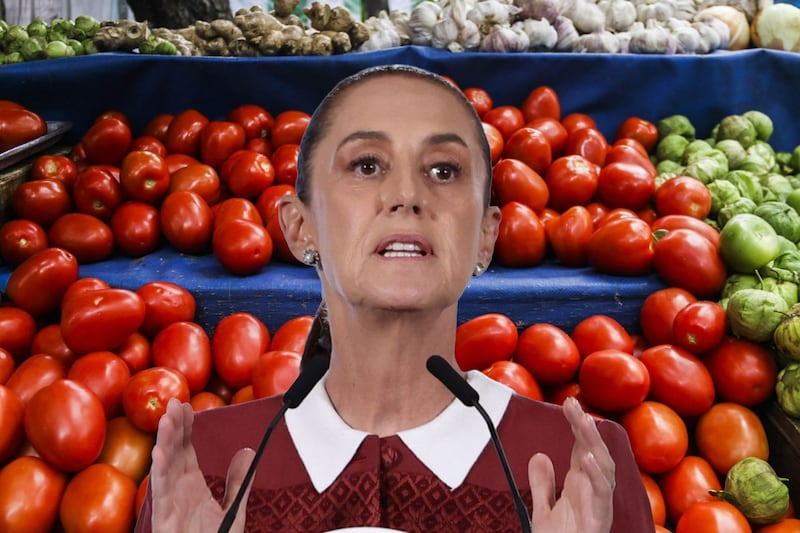 Regresa el jitomate a tu cocina: Sheinbaum acuerda con productores de 18 estados para bajar el precio