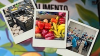 Así funciona el Banco de Alimentos en CDMX: Almacenes, fábrica de tortillas y comedor comunitario