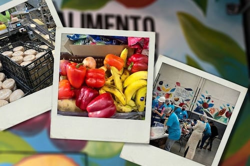 Así funciona el Banco de Alimentos en CDMX: Almacenes, fábrica de tortillas y comedor comunitario