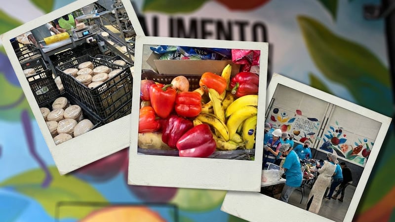 Así funciona el Banco de Alimentos en CDMX