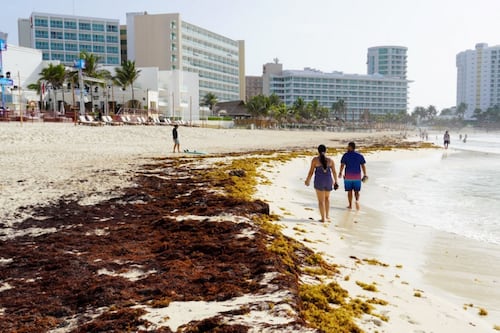 Calor extremo en Península de Yucatán: Este jueves 30 de julio habrá temperaturas de hasta 41°C