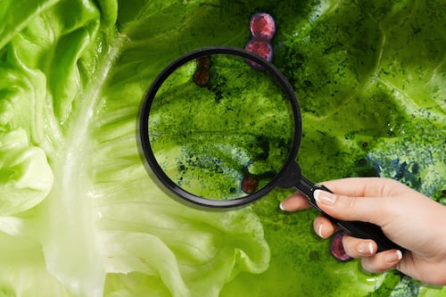 Casos de ‘diarrea explosiva’ en EU: Michigan apunta a la lechuga de ensalada como posible causa