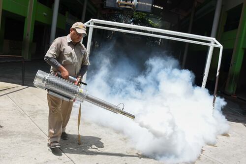 Morelos reporta 13 muertes por dengue: ¿Cuáles son las precauciones para evitar contagios?