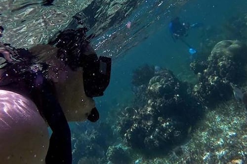 Quintana Roo, primera entidad en el mundo en asegurar sus arrecifes y playas