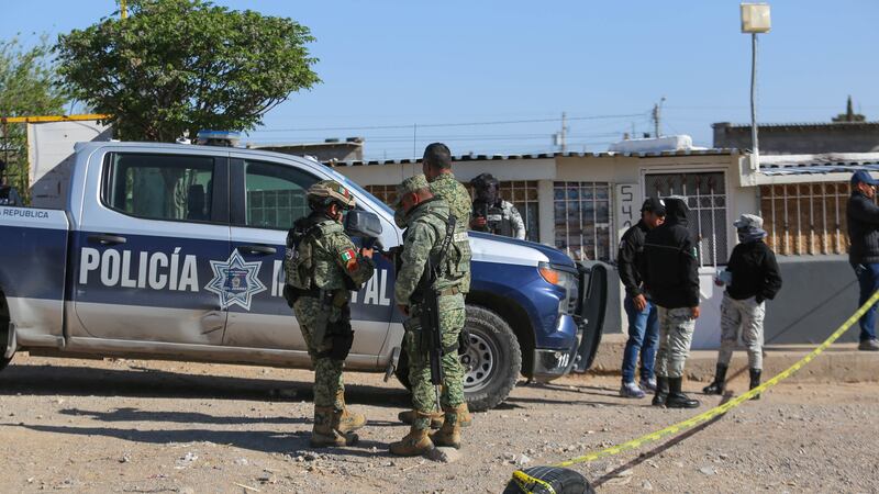 Gobierno federal resalta baja de 25.8% en homicidios en los últimos 8 meses