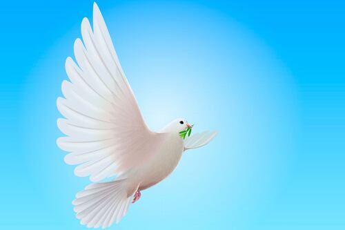 Día Internacional de la Esperanza