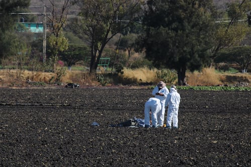 Hallan 20 cuerpos enterrados en una fosa en Guanajuato