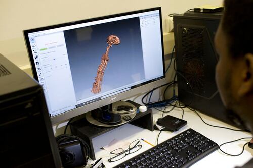 Él puede 'volver a hacer' varias obras del museo incendiado en Brasil