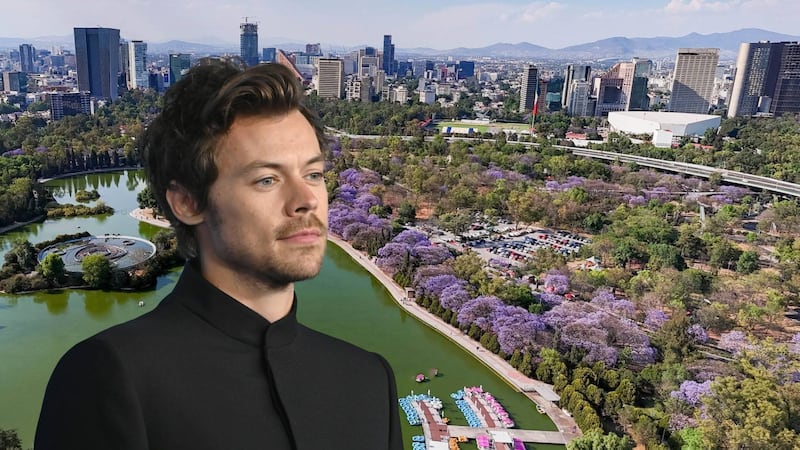 La ruta de Harry Styles en CDMX: Tacos, matcha y todos los lugares donde lo han visto