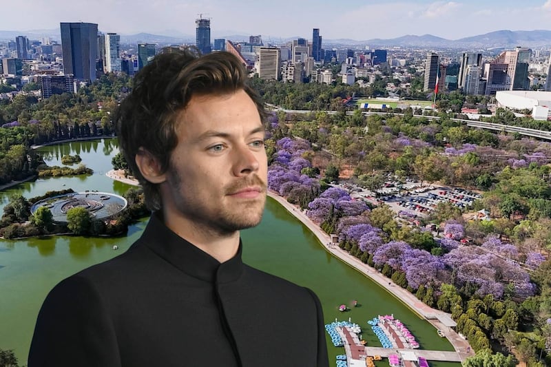 La ruta de Harry Styles en CDMX: Tacos, matcha y todos los lugares donde lo han visto