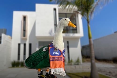 Pato Merlín ya tiene casa: Sheinbaum da vivienda a familia de la ‘mascota’ del Mundial 2026