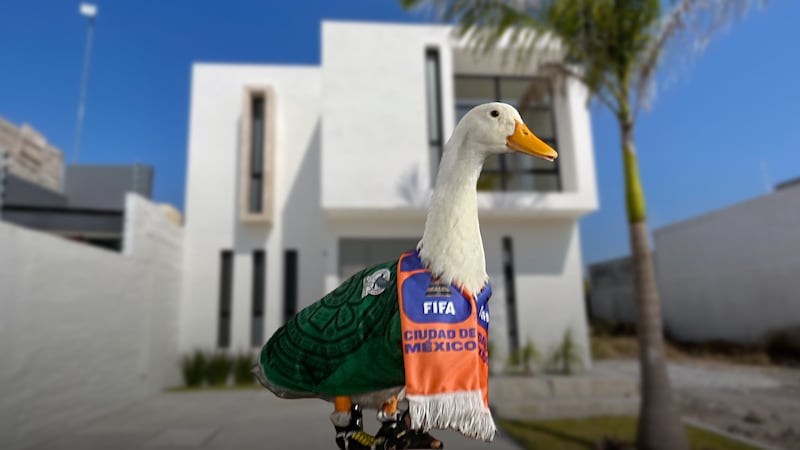 Pato Merlín ya tiene casa: Sheinbaum da vivienda a familia de la ‘mascota’ del Mundial 2026