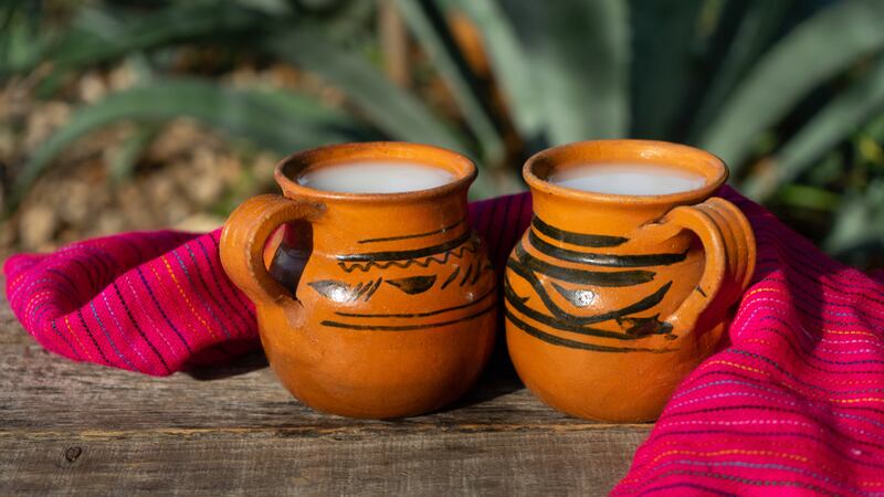 ¿Es bueno para la salud beber pulque?