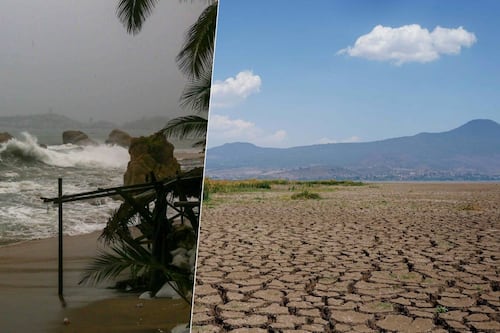 ‘Nos vamos a achicharrar’: Prevén que fenómeno de El Niño se intensifique los próximos meses