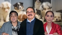 ‘Está enfermo’: Carlos Bonavides, Lupita Jones y famosos critican a Pedro Sola por comentario sobre perros