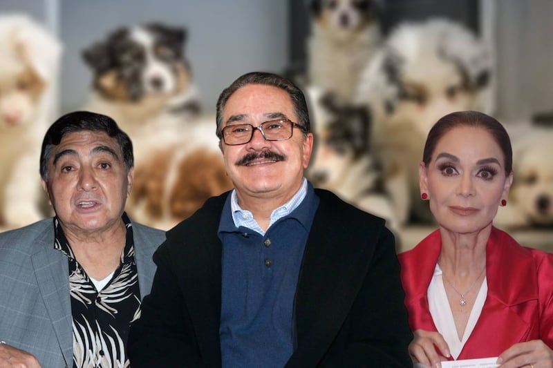 ‘Está enfermo’: Carlos Bonavides, Lupita Jones y famosos critican a Pedro Sola por comentario sobre perros