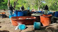 Harfuch da golpe al narco: Desmantelan 4 laboratorios en Michoacán y Guerrero
