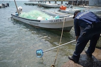 ‘Hay apoyo para localizarlos’: ¿Qué sabemos de los 13 buques investigados por derrame en el Golfo?