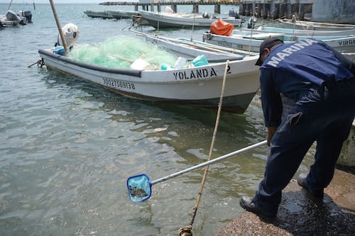 ‘Hay apoyo para localizarlos’: ¿Qué sabemos de los 13 buques investigados por derrame en el Golfo?