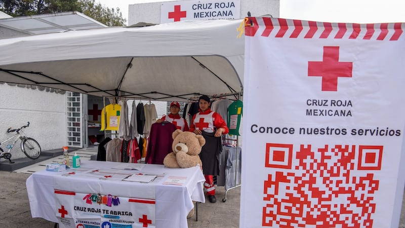 Balam, ‘lomito’ rescatista, localiza a una persona de entre los escombros tras sismo en Turquía